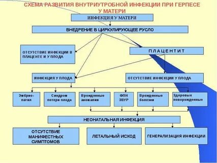 Профилактика внутриутробных инфекций