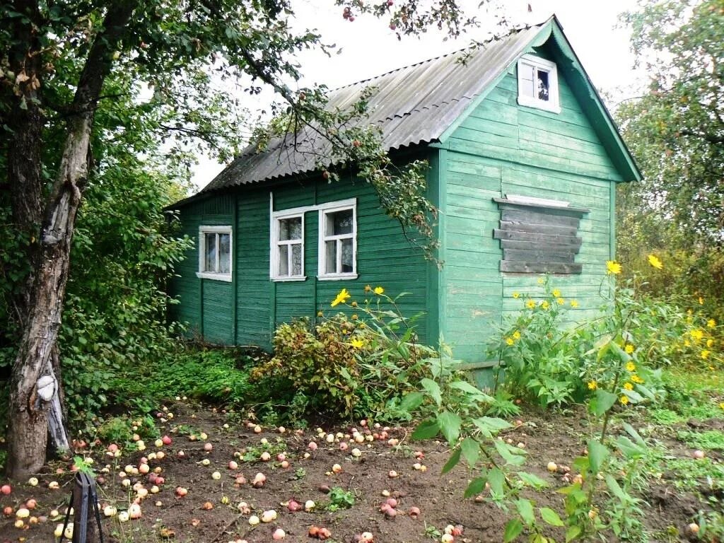 Москва сколько стоит участок. СНТ Смородинка Кимры. Дачи. Дачный домик в садоводстве. Дачные домик в садоводсве.