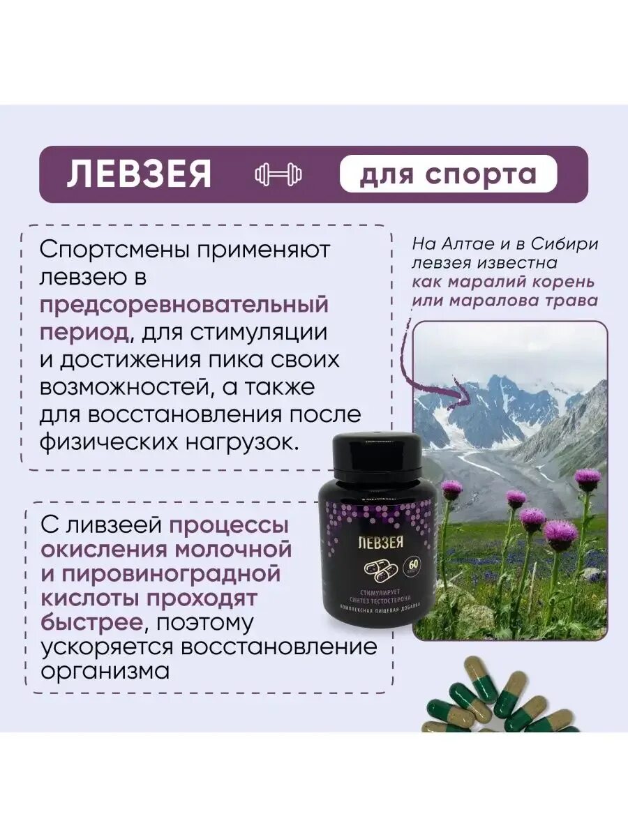 Левзея инструкция по применению для чего применяется