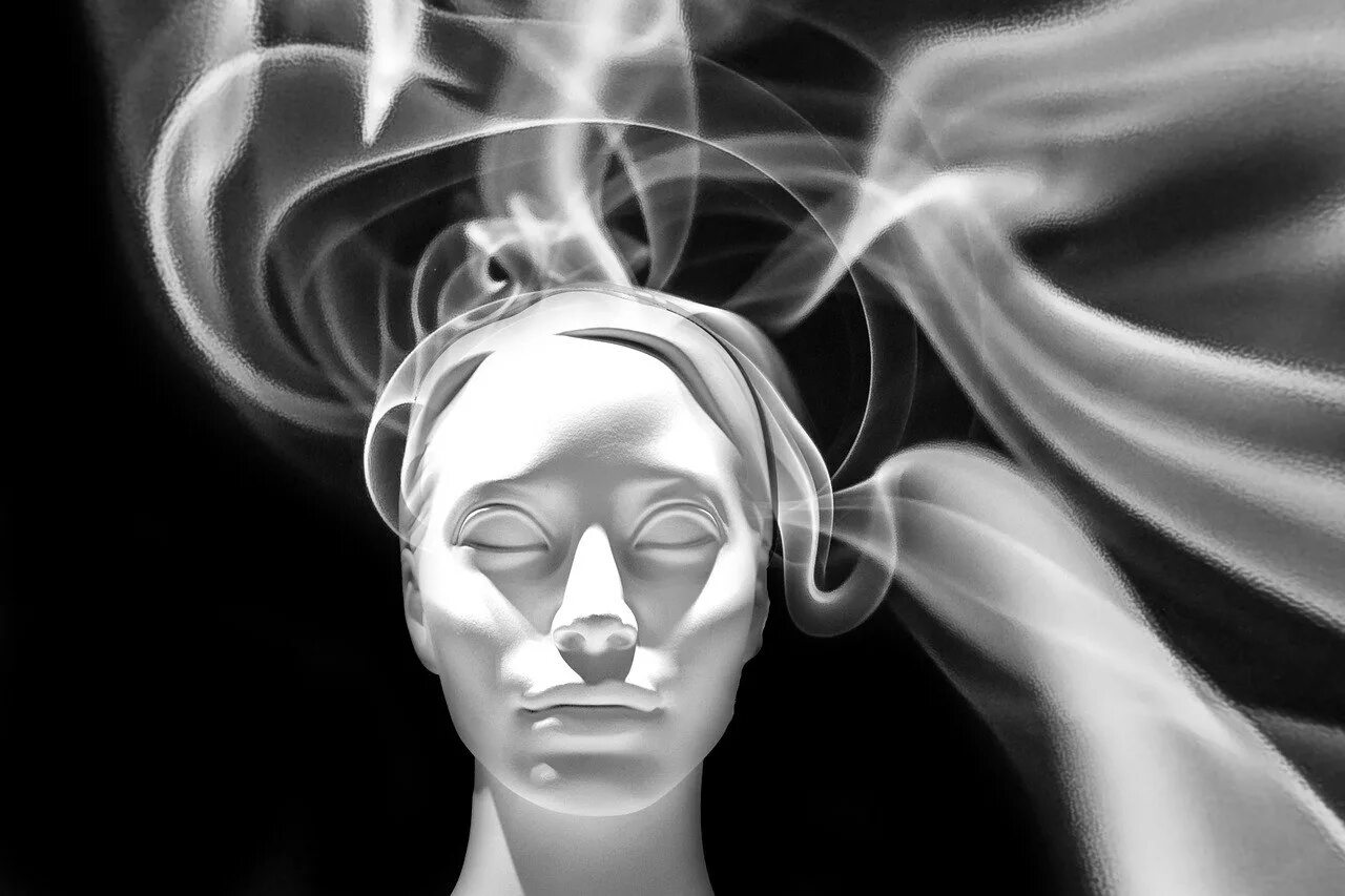 Группа francesco demegni - soul and deep. Body and mind картинка на белом фоне. Face soul body. Body and soul logo. Face soul body.