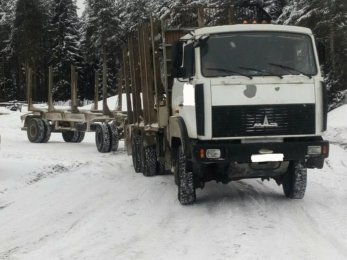 Лесовозы бу россия. МАЗ 6317 лесовоз. МАЗ 6х6 лесовоз. МАЗ-6317 грузовой лесовоз. Белый МАЗ лесовоз.