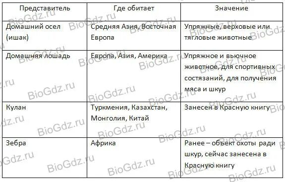Параграф 34. Отряды Млекопитающих. Парнокопытные, Непарнокопытные. 7 класс