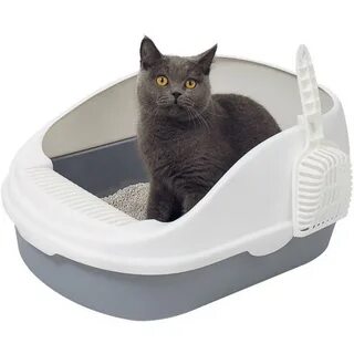 лотки для кошек: 2 тыс изображений найдено в Яндекс Картинках