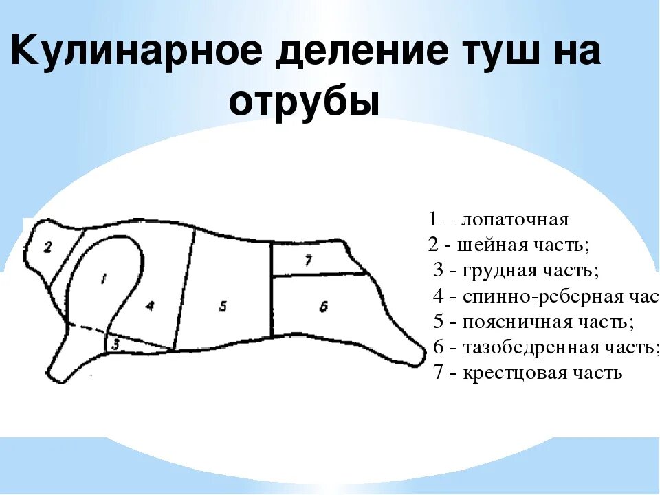 Схема разделки туши свиньи. Схема разделки говяжьей туши. схема разделки говяжьих полутуш. схема сортовой разрубки свиней. схема розничной разделки говяжьей туши.