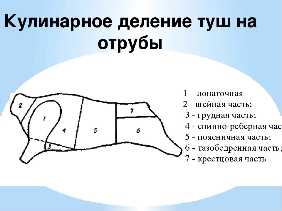 Схема разделки говяжьих полутуш. Схема разделки говяжьей туши. Разделка туши говядины схема. Схема разделки говядины на отрубы. Части свиньи названия