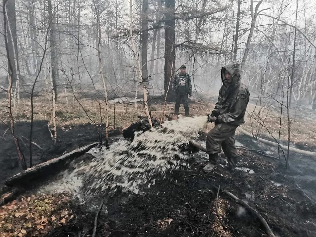 Человек виновник лесных пожаров. Лесные пожары в якутии 2021. Лесной пожар фото. Озеро себян-кюель. Пожары в якутии.