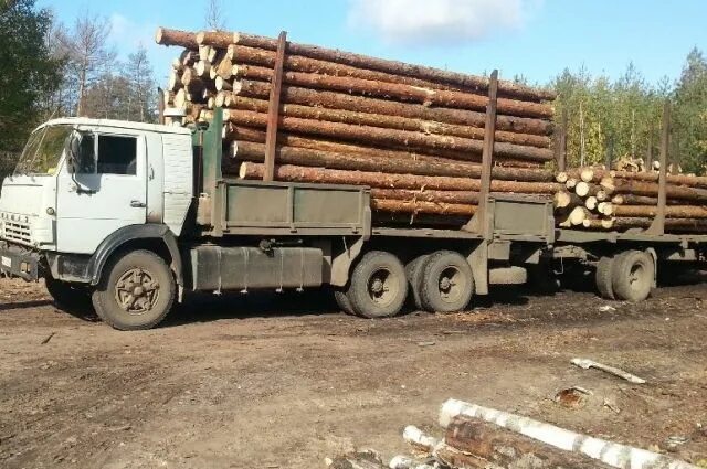 Лесовозы в красноярском крае. КАМАЗ 5320 лесовоз. КАМАЗ 5320 лесовоз с прицепом. КАМАЗ 5320 сортиментовоз. КАМАЗ 5320 лесовоз с лесом.