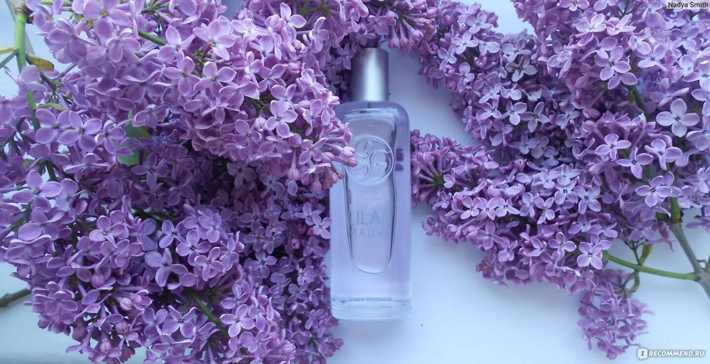 Сирень в духах. Ив Роше сирень. Ив Роше духи сирень. Сирень Rio-Rita. Lilac (Demeter): моноаромат сирени.