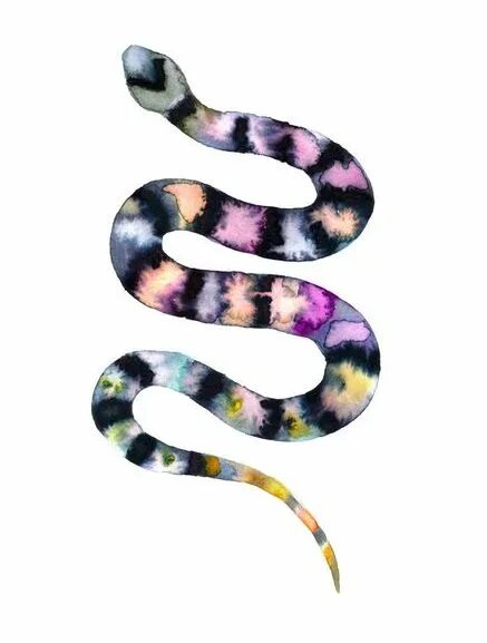 Змейка 170. Змея акварелью. Змея акрилом. Красивая змея для рисования акварелью. Рисунок змеи гуашью.