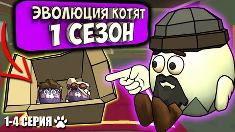 Эволюция котят 1