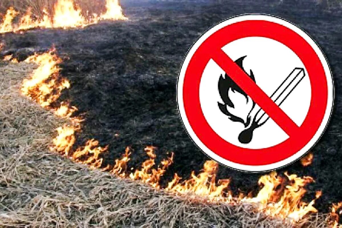 Не жгите сухую траву. Запрет на Выжигание сухой растительности. Пал травы запрещен. Выжигание сухой травы запрещено. Запрет пала сухой травы.