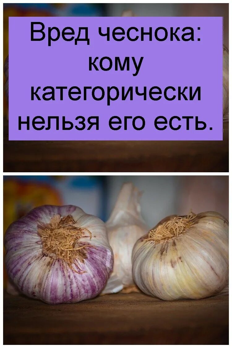 Есть чеснок на ночь. Чеснок для организма человека. Чем полезен чеснок. День чеснока. Сырой чеснок.