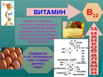 Роль витаминов в химии