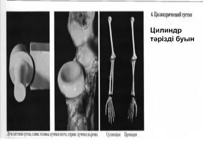Американдық порно теледидар