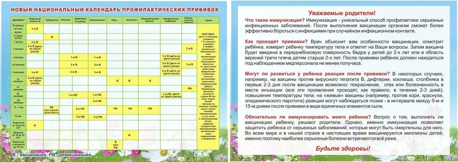 Календарь прививок манту