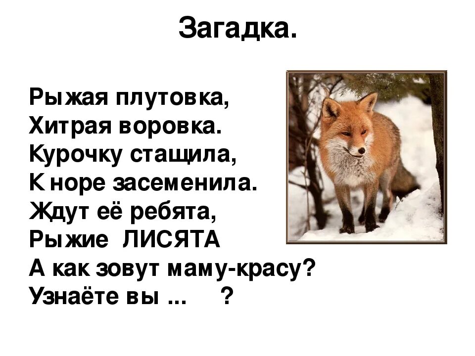 Хитрая лисица ловко заметает следы пушистым хвостом