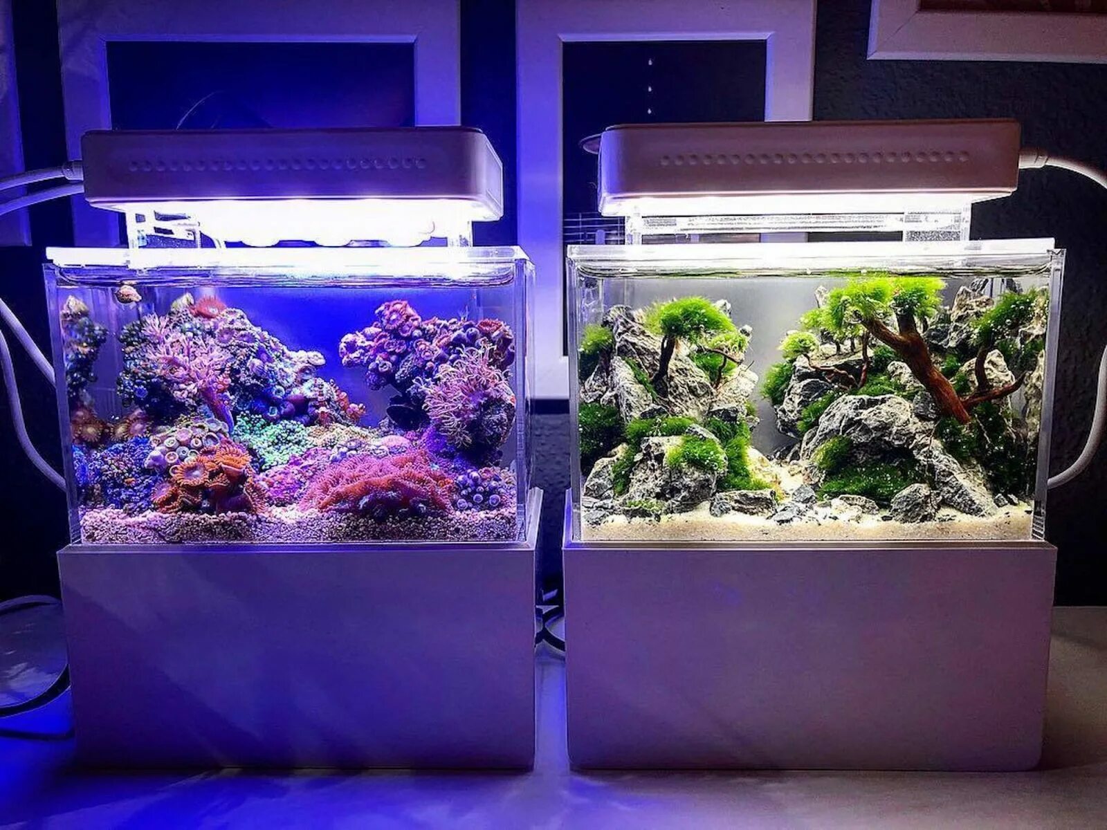 Морской нано аквариум. Микро аквариум. Пико-аквариум. Декор микроаквариумов.