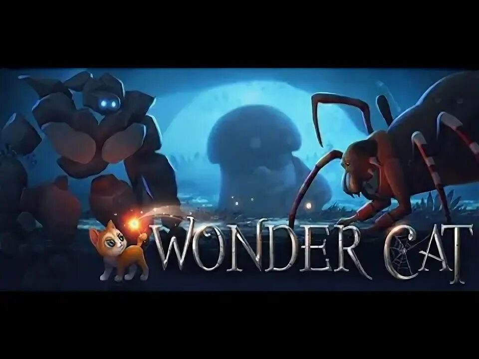 Кю манга. Daily kitten : виртуальный кот. Книги с кошкой на обложке. Cat wonders. Wonder cat.