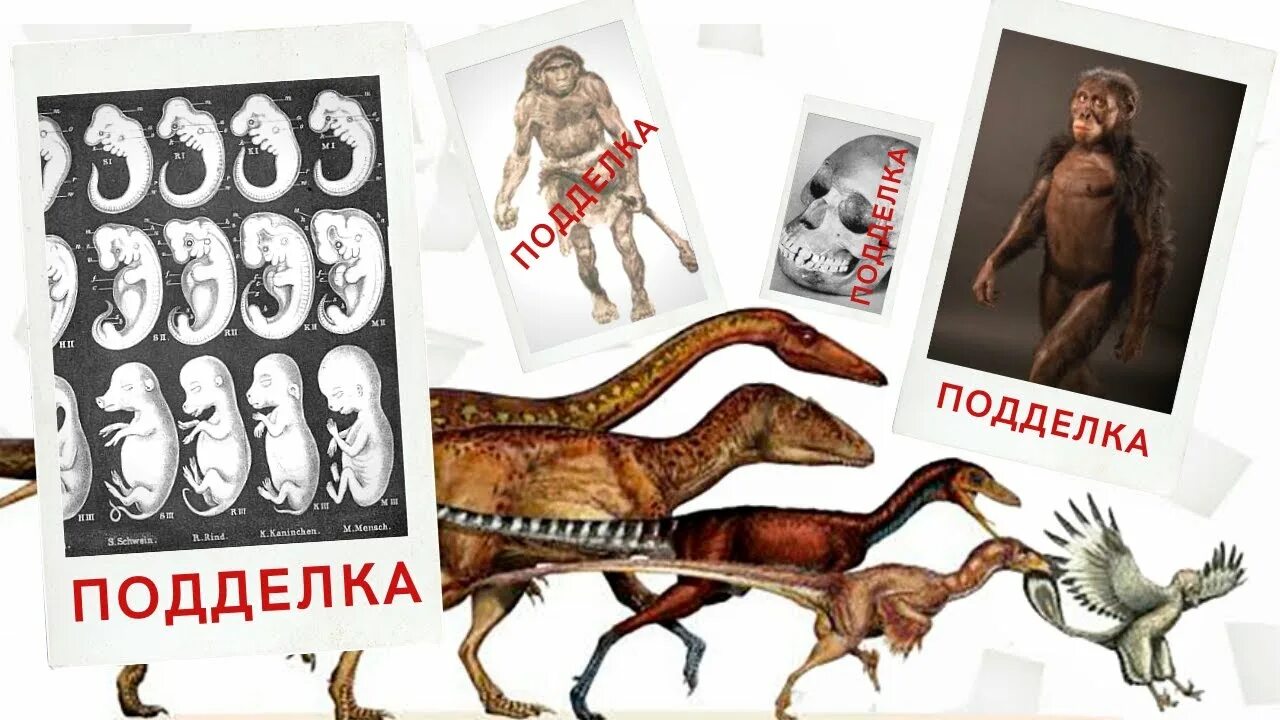 Шарлатан эйнштейн. Теория разоблачений. Хрендяблики разоблачение. Аргументы против теории раскольникова. Теория разоблачений.