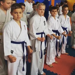 Карате киокушинкай орел