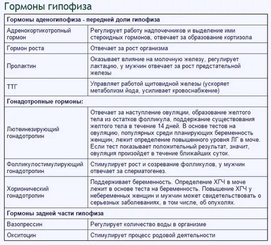 Гормон гипофиза сдать. Гормоны гипофиза и их функции таблица. Гипофиз гормоны и функции таблица. Гормоны передней доли гипофиза и их функции таблица.