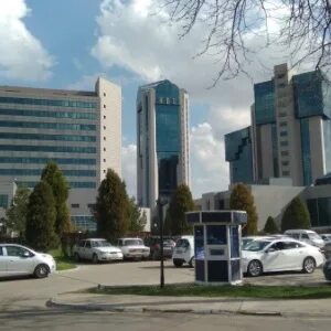 Вэд узбекистан