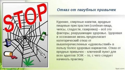 Вредная привычка 7
