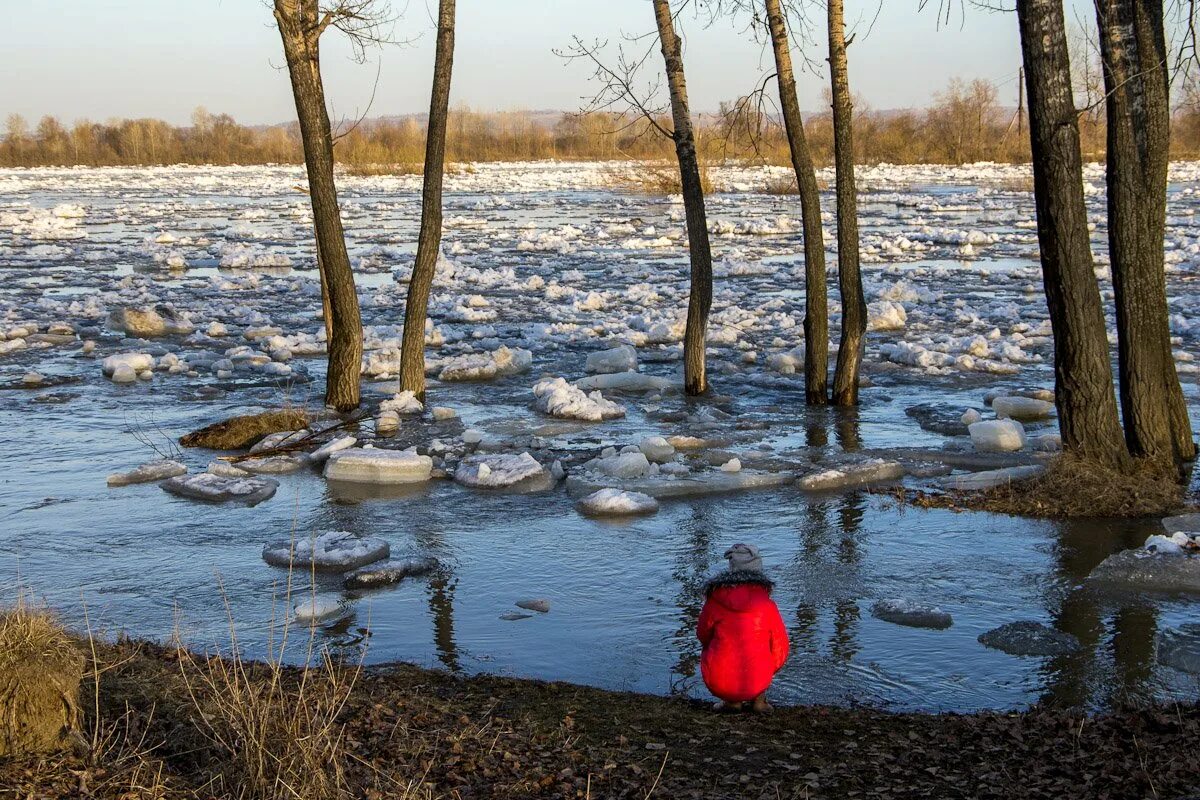 Ледоход на реке для детей. Весенний лед на реке.