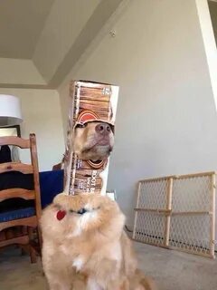 Открытый прикол