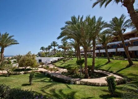 Red sea sharm resort 5