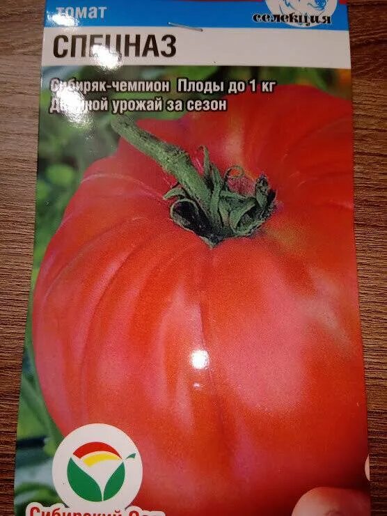 Сибирские томаты для теплиц высокоурожайные сорта. Семена помидор крупноплодные. Томат тепличный крупноплодный. Сорта помидор для Сибири семена.