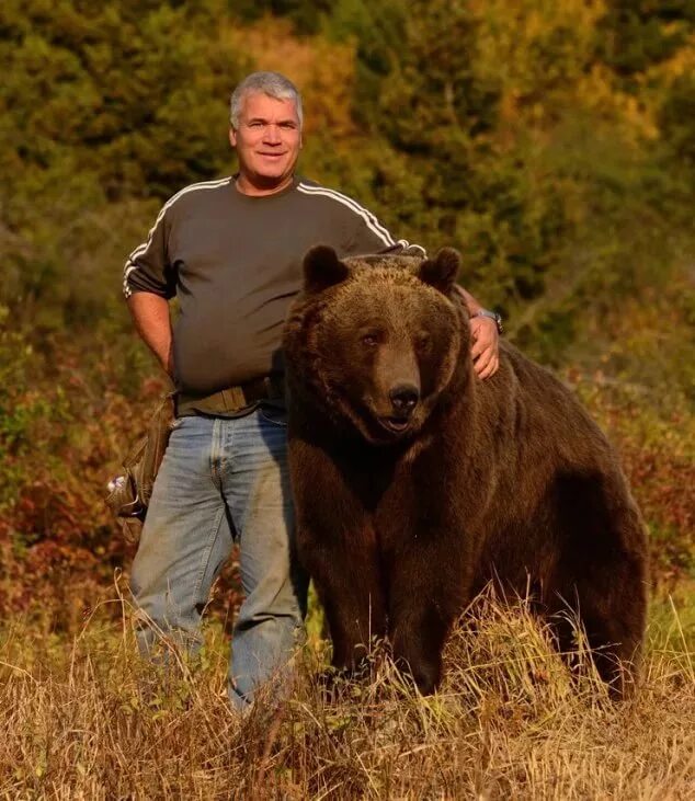 Какие медведи крупнее. Медведь Гризли. Медведь Гризли и человек.