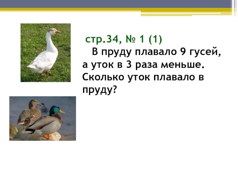 В пруду плавали несколько уток. Сколько уток на картинке. В пруду плавало 9 гусей. Сколько уток на картинке правильный ответ. В пруду плавало 9 гусей а уток в 3.