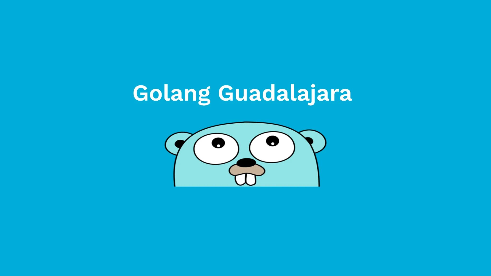 Что пишут на golang. Что пишут на golang