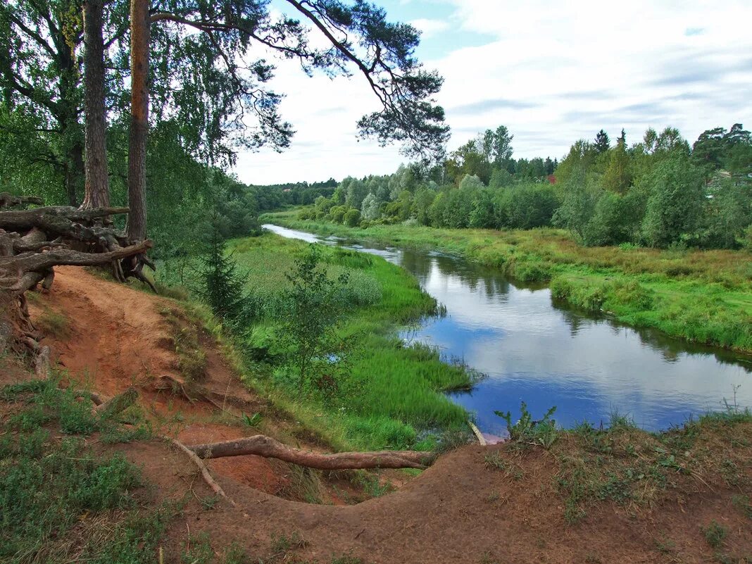 Долина смерти оредеж. Река оредеж луга. Кремено гатчинский район рыбалка на реке оредеж. Чикино ленинградская область. Оредеж сиверская пляж.