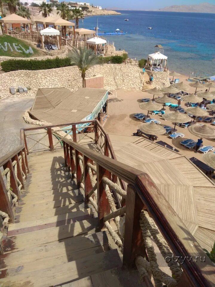 Отель исланд вью резорт шарм-эль-шейх. Санрайз айленд вью шарм-эль-шейх 5. Шарм-эль-шейх island view resort. Отель island view resort 5 в шарм эль шейхе египет. Египет отель исланд вью.