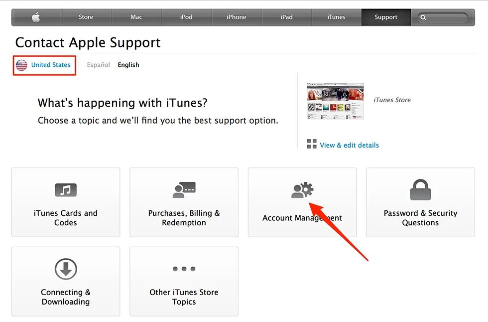 Apple support itunes. Поддержка айтюнс. Как зайти в ITUNES Store. Айтюнс зайти. ITUNES техподдержка.