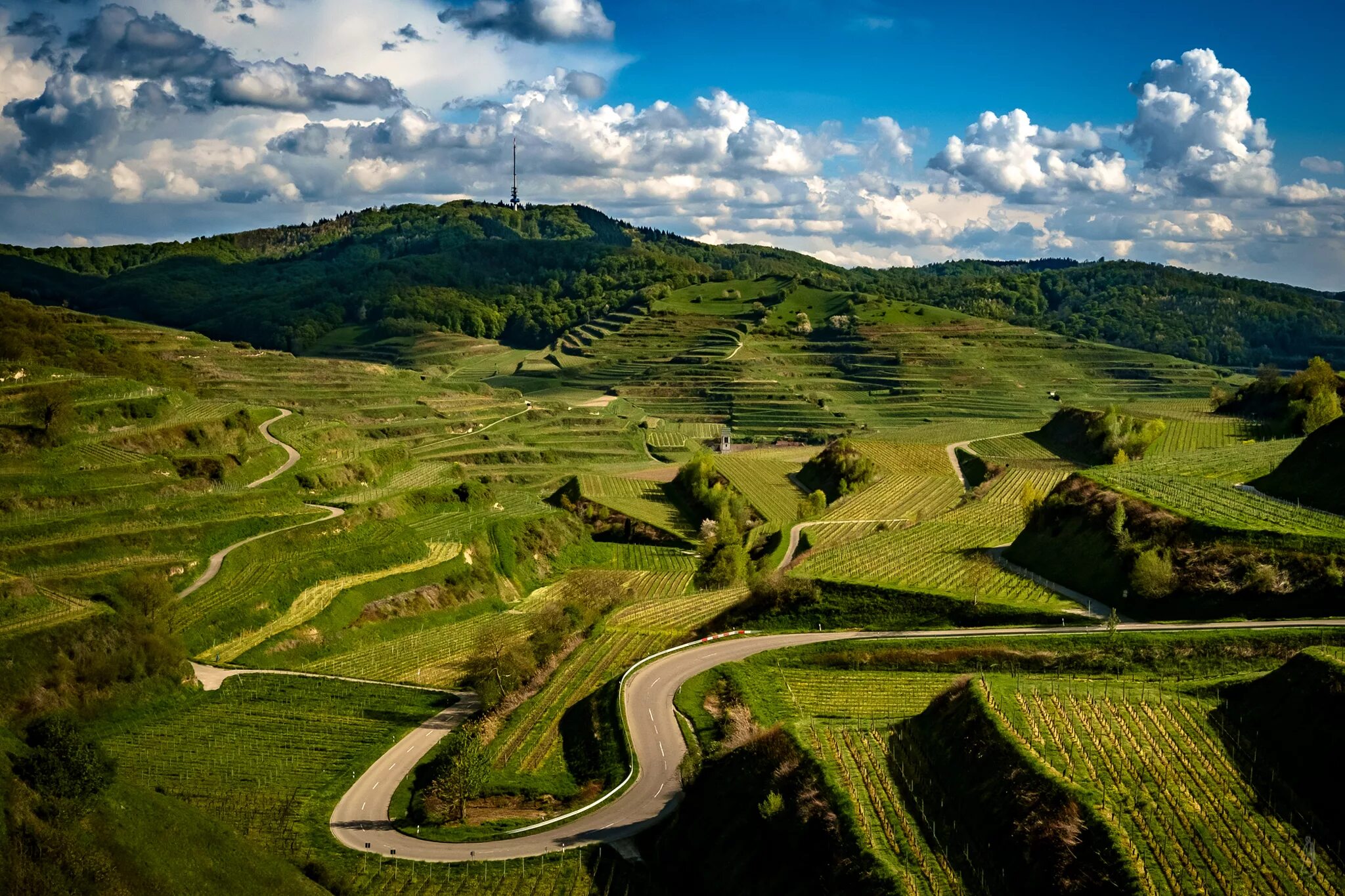 Холмы Германии. Холм Кёнигсштуль. Красивые холмы. Beautiful hill