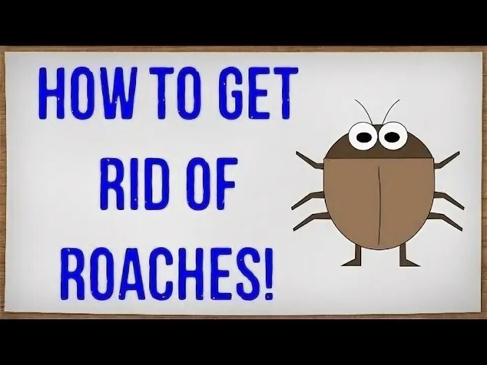 Get rid of the them. Get rid of.