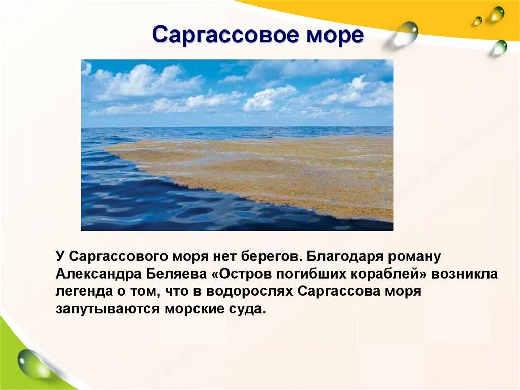 Саргассово какой океан. Саргассово море. Саргассово море моря. Саргассово море фото. Саргассово море водоросли.