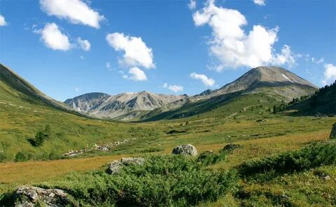 Сарый