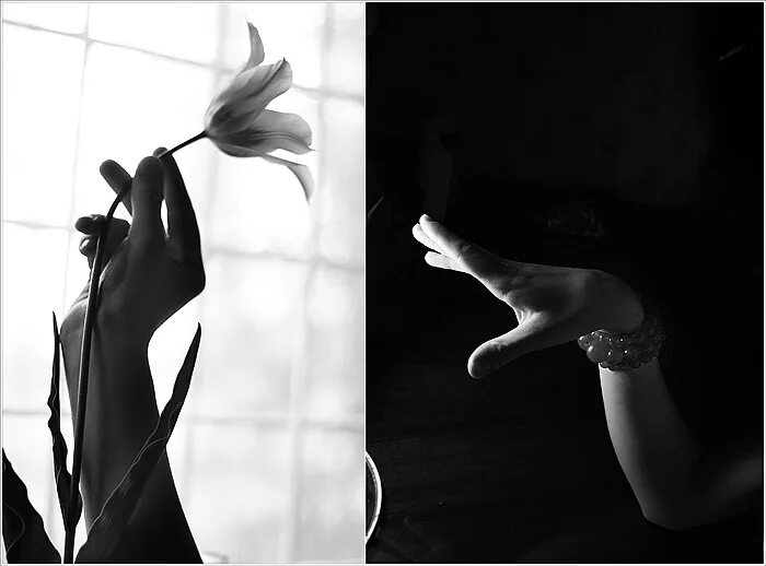 Обрастаем враньем. Женские руки чб. Черно белое Вдохновение. Красивые женские руки чб. Рука с цветком черно белая.
