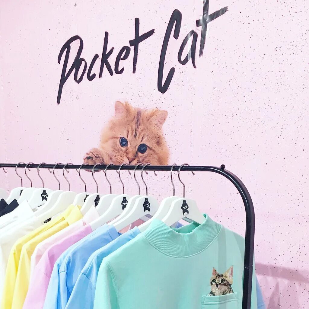 Кэт спб. Магазин Cat. Cats магазин одежды. Sweet Cat магазин. Sweet Cat shop в Санкт-Петербурге.