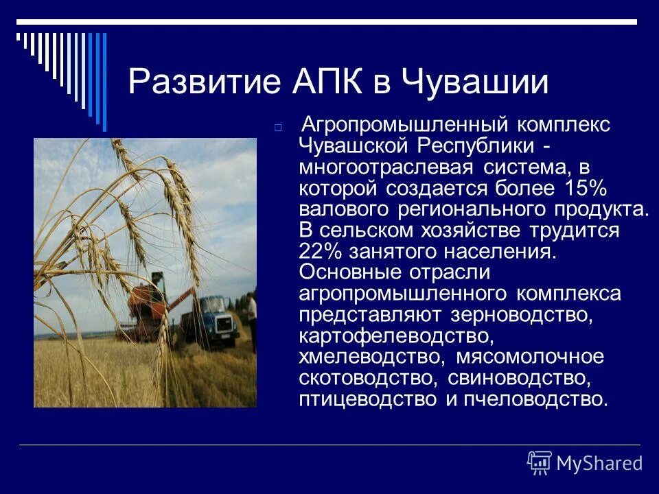 отрасли растениеводства и животноводства. сообщение на тему апк. сообщение на тему апк. агропромышленный комплекс презентация. агропромышленный комплекс.