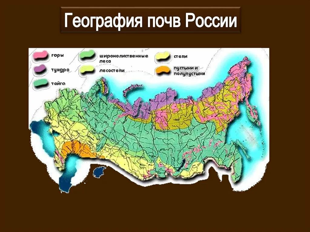 В какой природной зоне почвы наиболее плодородные. Типы почв РФ карта. Расположение почв в России. География 8 типы почв России:. Карта России географическая почвы.
