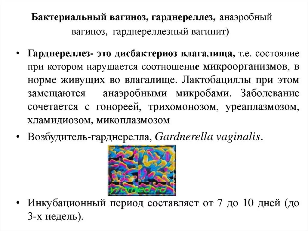 Бактериальный вагиноз гарднереллёз. Возбудителями вызывается бактериальный вагиноз:. Вагинит бактериальный вагинит. Возбудитель бактериального вагиноза. Вагинит и вагиноз