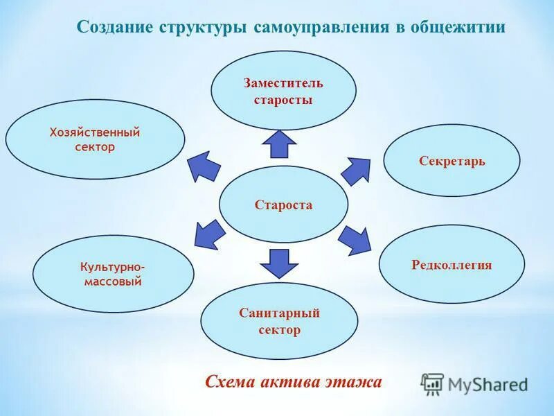 Структура самоуправления. Структура самоуправления в колледже. Схема студенческого самоуправления. Структура студенческого самоуправления. Староста класса заместитель старосты