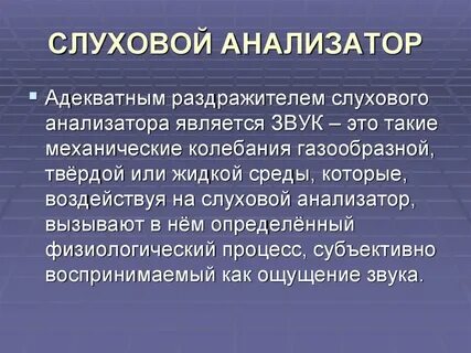 Анализаторами являются