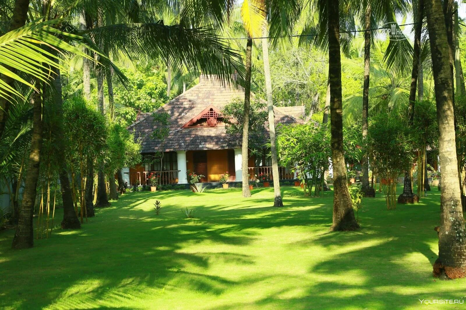 Somatheeram ayurveda resort. Индия керала туры. Варкала керала достопримечательности. Керала индия гоа. Керала индия.