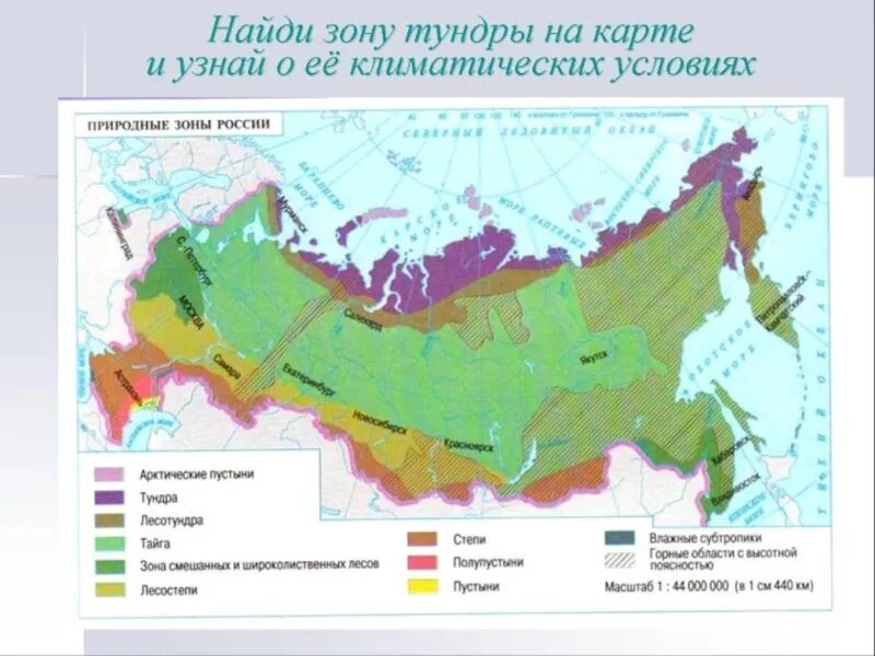 Степи пустыни субтропики. Природные зоны россии лесотундра климат. географическое положение лесостепи в россии на карте. тундра природная зона расположение в россии. степь на карте природных зон.